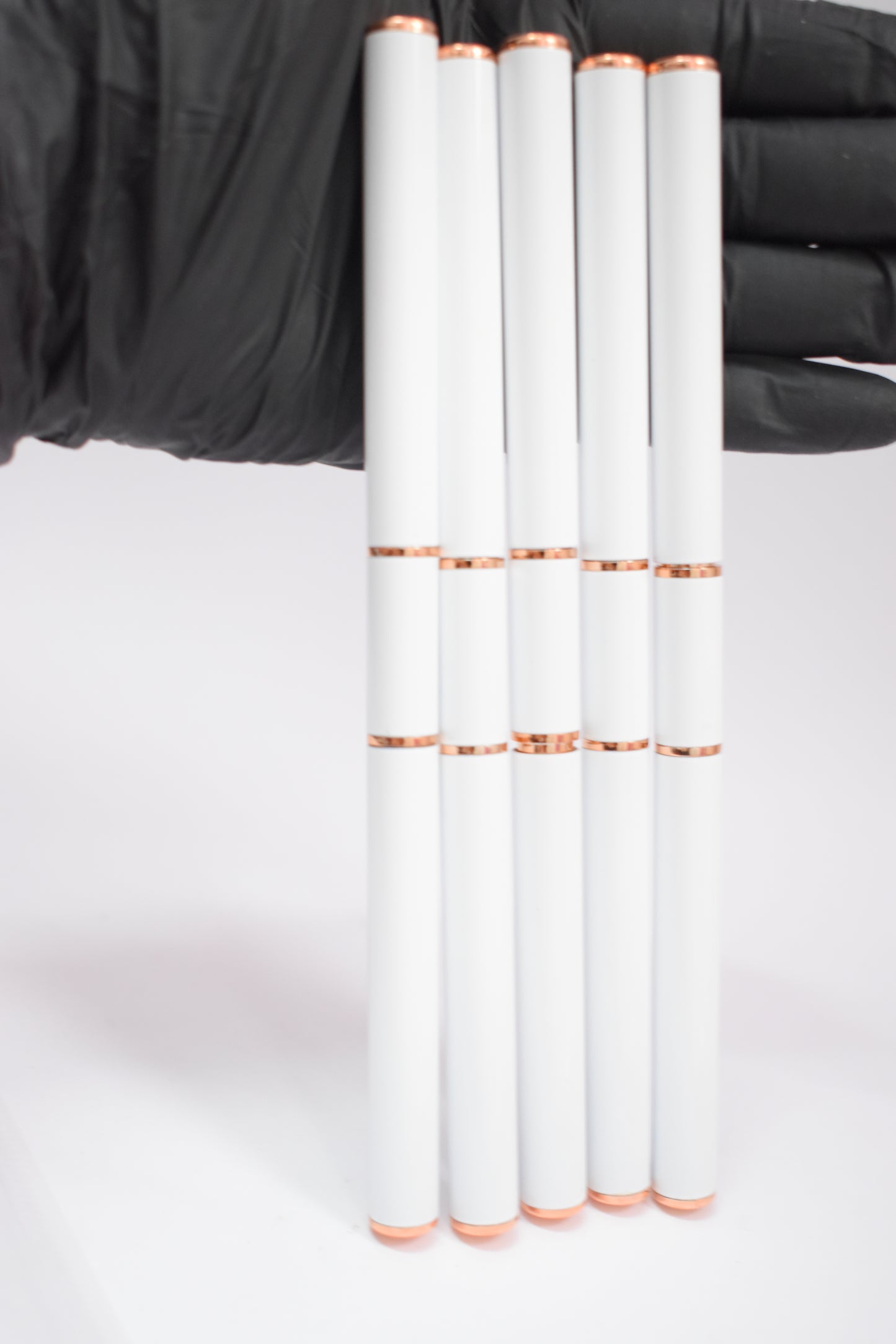 SET DE PINCELES LINER 10 PUNTAS